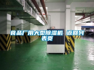 行業(yè)新聞食品廠用大型除濕機(jī) 返回列表頁
