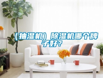 企業(yè)新聞（抽濕機(jī)）除濕機(jī)哪個牌子好？