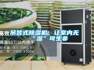 企業(yè)新聞吊裝式除濕機(jī)，讓室內(nèi)無“濕”可生非