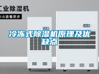 行業(yè)新聞冷凍式除濕機(jī)原理及優(yōu)缺點(diǎn)