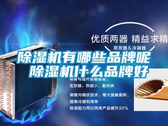 企業(yè)新聞除濕機有哪些品牌呢 除濕機什么品牌好