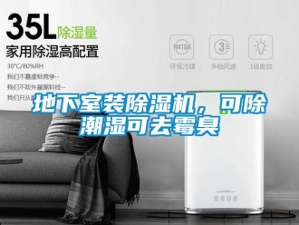 企業(yè)新聞地下室裝除濕機，可除潮濕可去霉臭