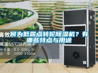 行業(yè)新聞何為低露點轉(zhuǎn)輪除濕機？有哪些特點與用途