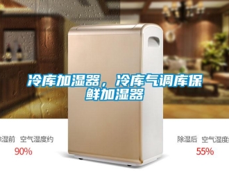 行業(yè)新聞冷庫加濕器，冷庫氣調(diào)庫保鮮加濕器