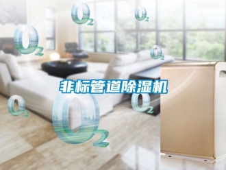 行業(yè)新聞非標(biāo)管道除濕機