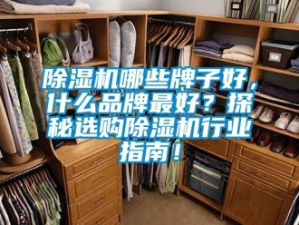 企業(yè)新聞除濕機哪些牌子好，什么品牌最好？探秘選購除濕機行業(yè)指南！