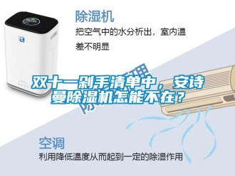 企業(yè)新聞雙十一剁手清單中，安詩曼除濕機怎能不在？