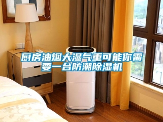 企業(yè)新聞廚房油煙大濕氣重可能你需要一臺防潮除濕機
