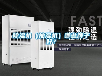 企業(yè)新聞除濕機(jī)（抽濕機(jī)）哪些牌子好？