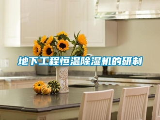 企業(yè)新聞地下工程恒溫除濕機的研制