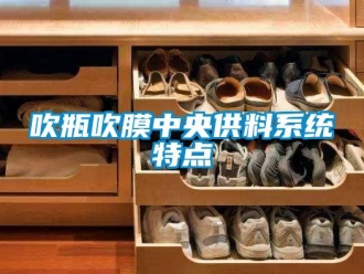 企業(yè)新聞吹瓶吹膜中央供料系統(tǒng)特點