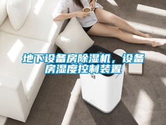 企業(yè)新聞地下設(shè)備房除濕機(jī)，設(shè)備房濕度控制裝置
