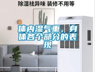 知識(shí)百科體內(nèi)濕氣重，身體各個(gè)部分的表現(xiàn)