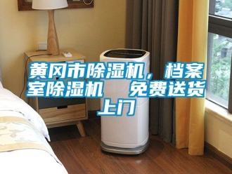 行業(yè)新聞黃岡市除濕機(jī)，檔案室除濕機(jī)  免費(fèi)送貨上門