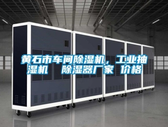 企業(yè)新聞黃石市車間除濕機(jī)，工業(yè)抽濕機(jī)  除濕器廠家 價(jià)格