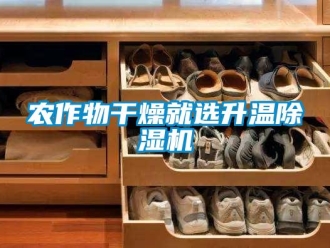 行業(yè)新聞農(nóng)作物干燥就選升溫除濕機(jī)