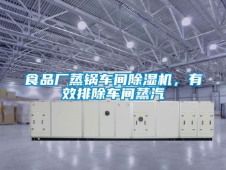 企業(yè)新聞食品廠蒸鍋車間除濕機(jī)，有效排除車間蒸汽