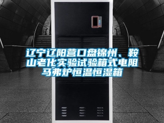 知識百科遼寧遼陽營口盤錦州、鞍山老化實驗試驗箱式電阻馬弗爐恒溫恒濕箱
