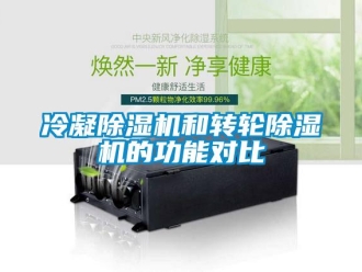行業(yè)新聞冷凝除濕機(jī)和轉(zhuǎn)輪除濕機(jī)的功能對(duì)比