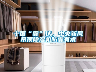 知識百科十面“霾”伏，中央新風(fēng)吊頂除濕機防霾有術(shù)