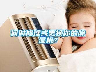行業(yè)新聞何時修理或更換你的除濕機？