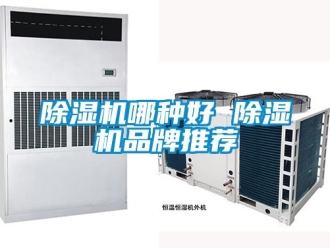 企業(yè)新聞除濕機哪種好 除濕機品牌推薦