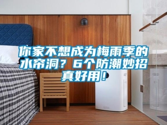 行業(yè)新聞你家不想成為梅雨季的水簾洞？6個(gè)防潮妙招真好用！