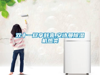 企業(yè)新聞雙十一盡享舒爽,安詩曼除濕機熱賣