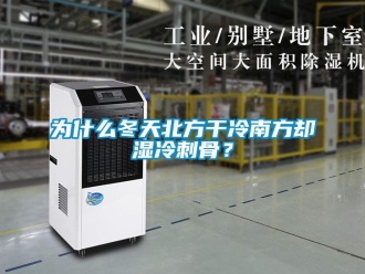 知識百科為什么冬天北方干冷南方卻濕冷刺骨？