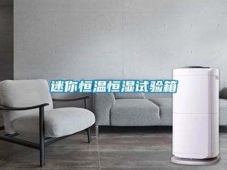 知識(shí)百科迷你恒溫恒濕試驗(yàn)箱