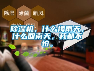 企業(yè)新聞除濕機(jī)，什么梅雨天，什么回南天，我都不怕。