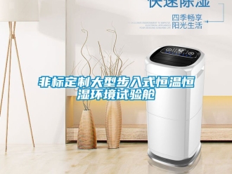 知識(shí)百科非標(biāo)定制大型步入式恒溫恒濕環(huán)境試驗(yàn)艙