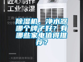 企業(yè)新聞除濕機(jī)，凈水器哪個(gè)牌子好？有哪些家電值得推薦？