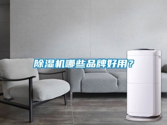 企業(yè)新聞除濕機(jī)哪些品牌好用？
