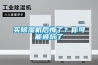 買除濕機后悔了？你可能被坑了