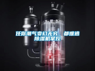 行業(yè)新聞任你潮氣變幻無窮，都難逃除濕機掌控