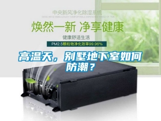 企業(yè)新聞高溫天，別墅地下室如何防潮？