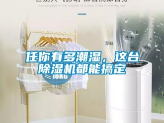 行業(yè)新聞任你有多潮濕，這臺除濕機都能搞定