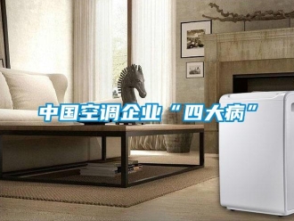 知識(shí)百科中國(guó)空調(diào)企業(yè)“四大病”