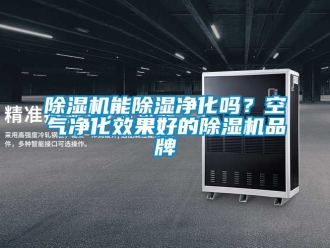 企業(yè)新聞除濕機(jī)能除濕凈化嗎？空氣凈化效果好的除濕機(jī)品牌
