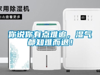 行業(yè)新聞你說你有點(diǎn)難追，濕氣都知難而退！
