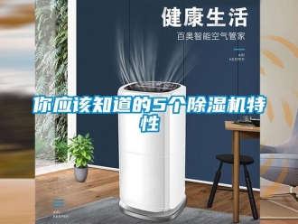 行業(yè)新聞你應(yīng)該知道的5個(gè)除濕機(jī)特性
