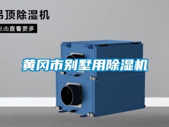 行業(yè)新聞黃岡市別墅用除濕機