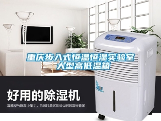 知識百科重慶步入式恒溫恒濕實(shí)驗(yàn)室 大型高低溫箱