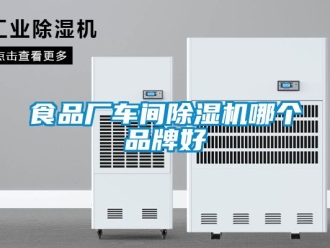 企業(yè)新聞食品廠車間除濕機(jī)哪個品牌好