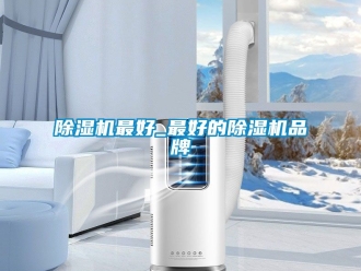 企業(yè)新聞除濕機最好_最好的除濕機品牌