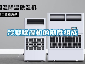 行業(yè)新聞冷凝除濕機(jī)的部件組成