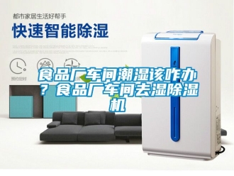 企業(yè)新聞食品廠車間潮濕該咋辦？食品廠車間去濕除濕機(jī)