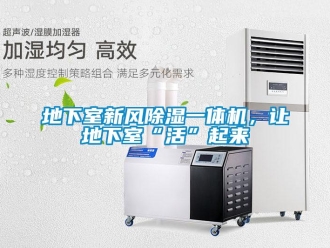 企業(yè)新聞地下室新風除濕一體機，讓地下室“活”起來
