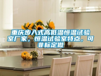 知識百科重慶步入式高低溫恒溫試驗(yàn)室廠家，恒溫試驗(yàn)室特點(diǎn)，可非標(biāo)定做